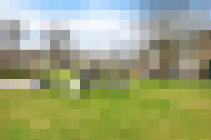 Graan voor Visch 15319 Hoofddorp thumbnail 45