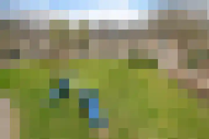 Graan voor Visch 15319 Hoofddorp thumbnail 46