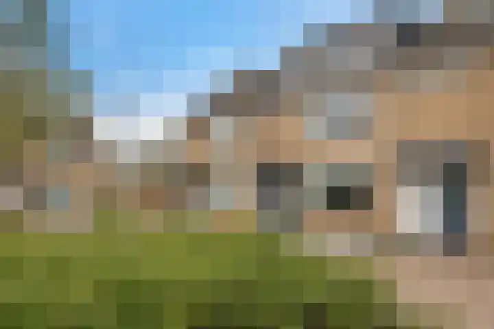 Graan voor Visch 15319 Hoofddorp thumbnail 49