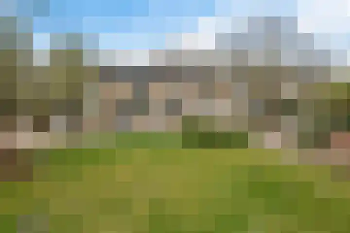 Graan voor Visch 15319 Hoofddorp thumbnail 53