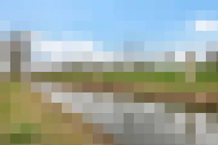 Graan voor Visch 15319 Hoofddorp thumbnail 54