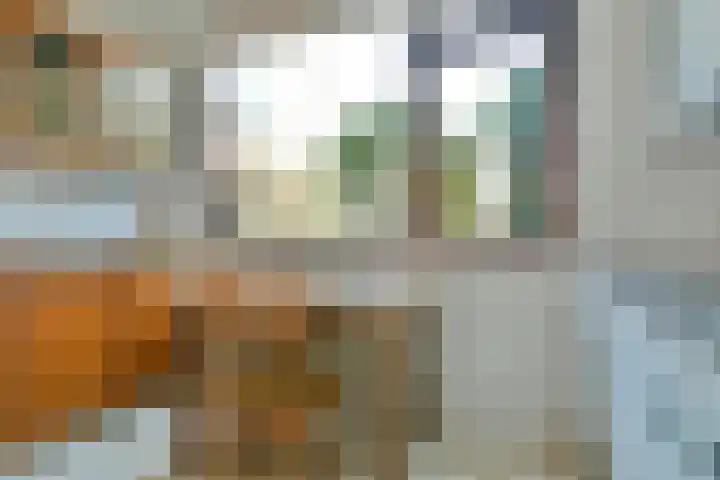 Graan voor Visch 15412 Hoofddorp thumbnail 10