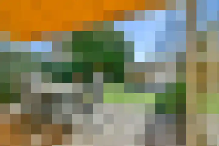 Graan voor Visch 15412 Hoofddorp thumbnail 23