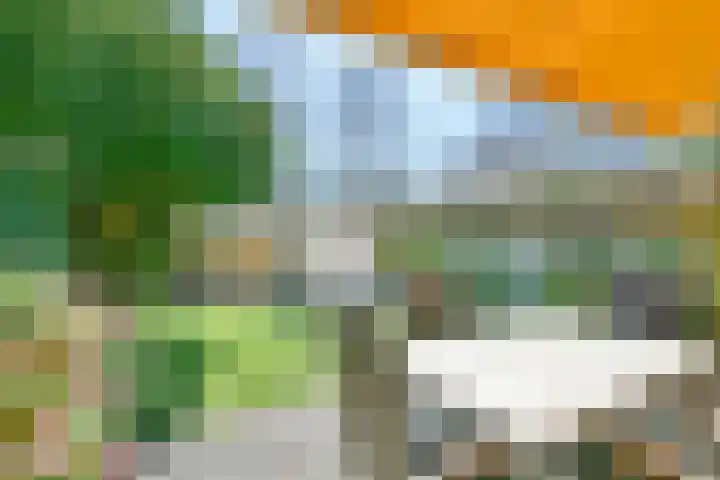 Graan voor Visch 15412 Hoofddorp thumbnail 24