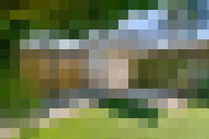 Graan voor Visch 15412 Hoofddorp thumbnail 27