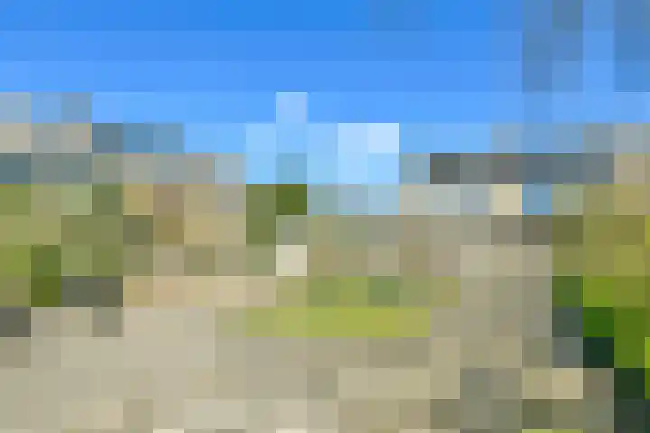 Graan voor Visch 15412 Hoofddorp thumbnail 29