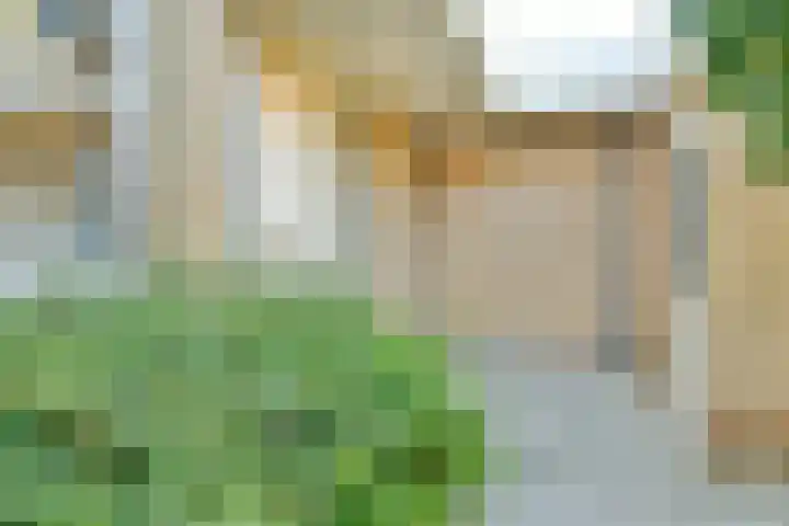 Graan voor Visch 15412 Hoofddorp thumbnail 30