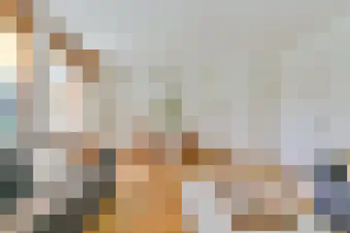 Graan voor Visch 15412 Hoofddorp thumbnail 6