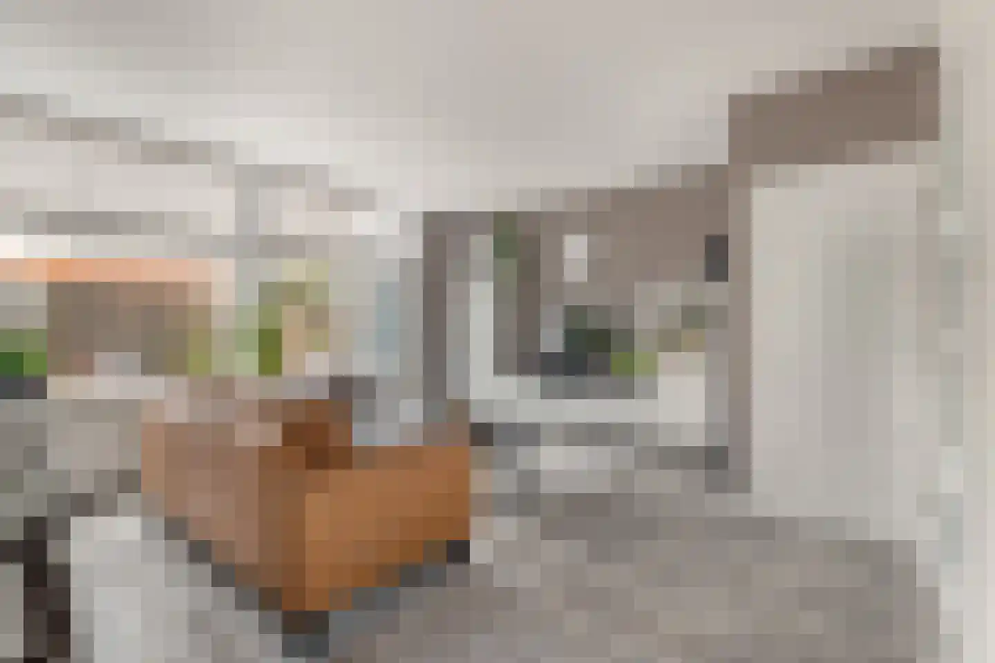 Graan voor Visch 15521 Hoofddorp thumbnail 15