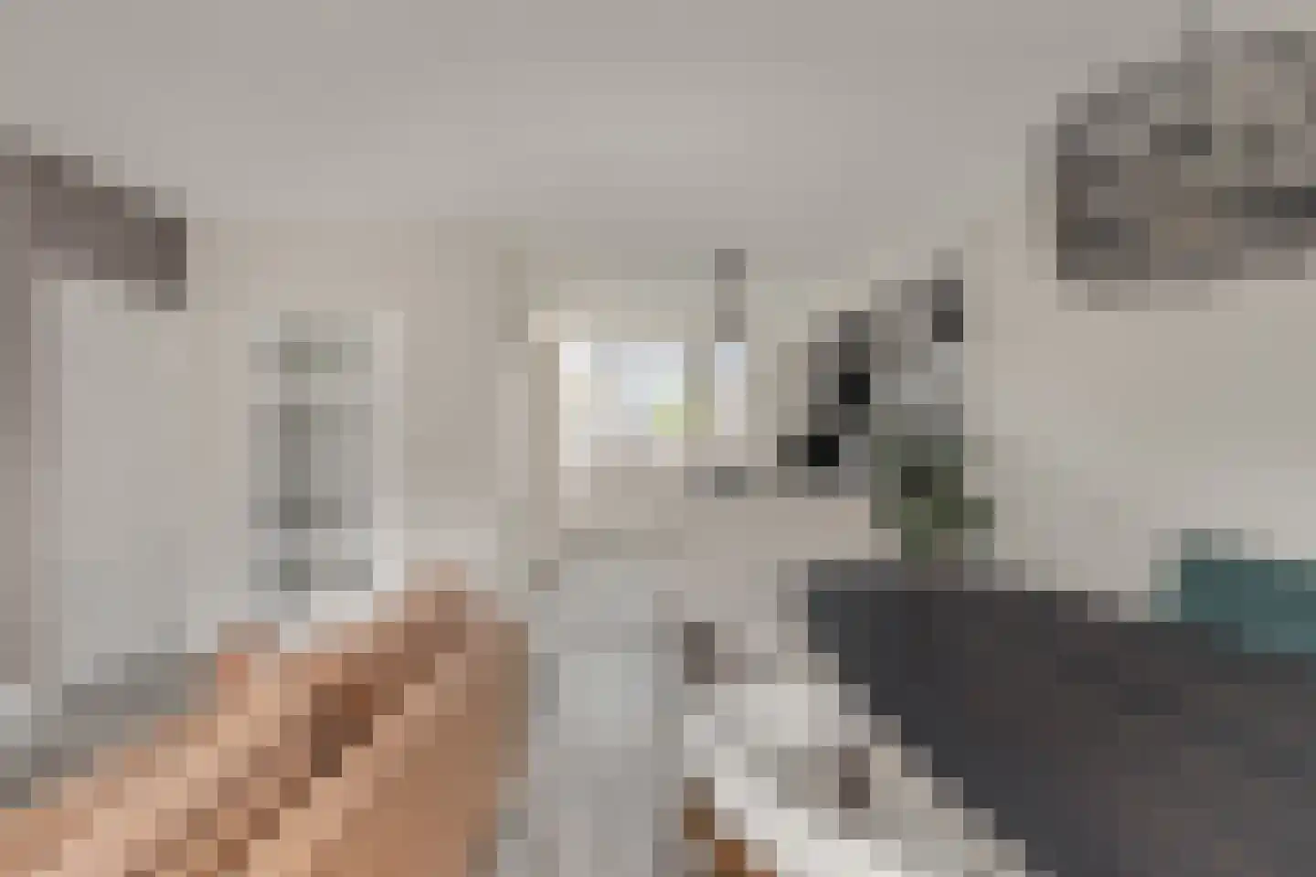 Graan voor Visch 15521 Hoofddorp thumbnail 18