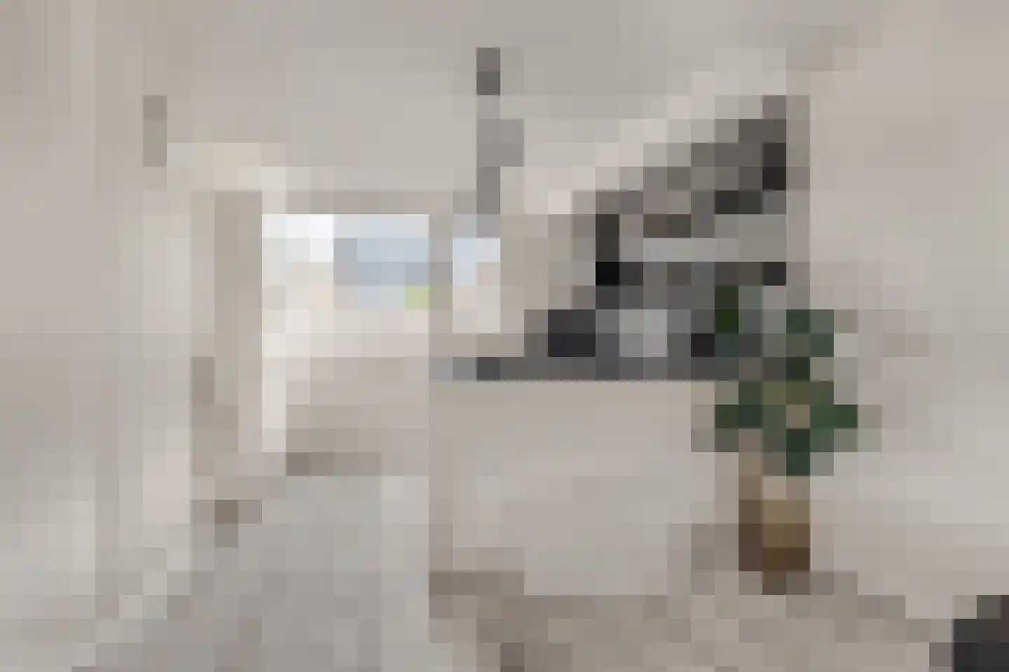 Graan voor Visch 15521 Hoofddorp thumbnail 19