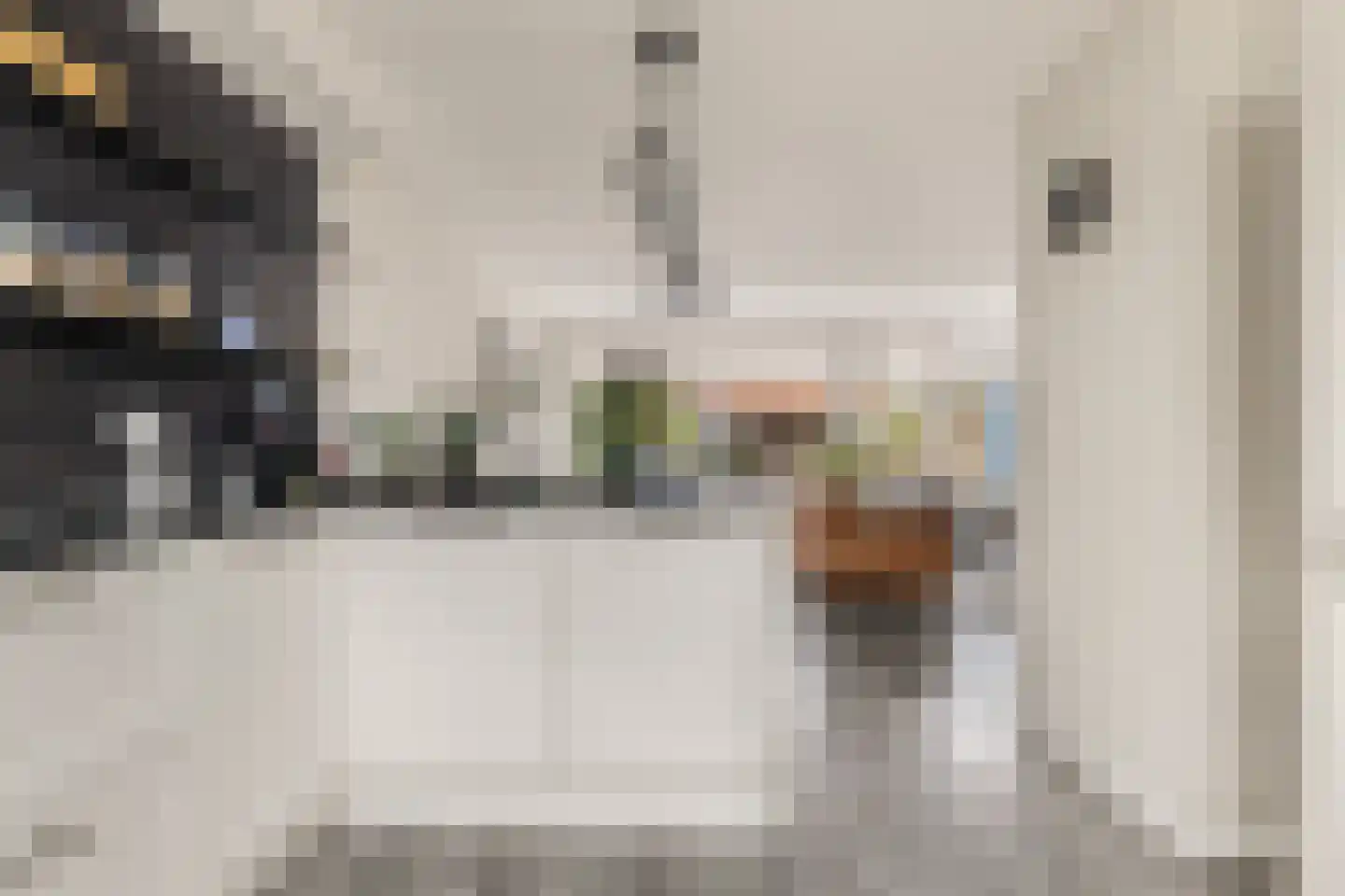 Graan voor Visch 15521 Hoofddorp thumbnail 20