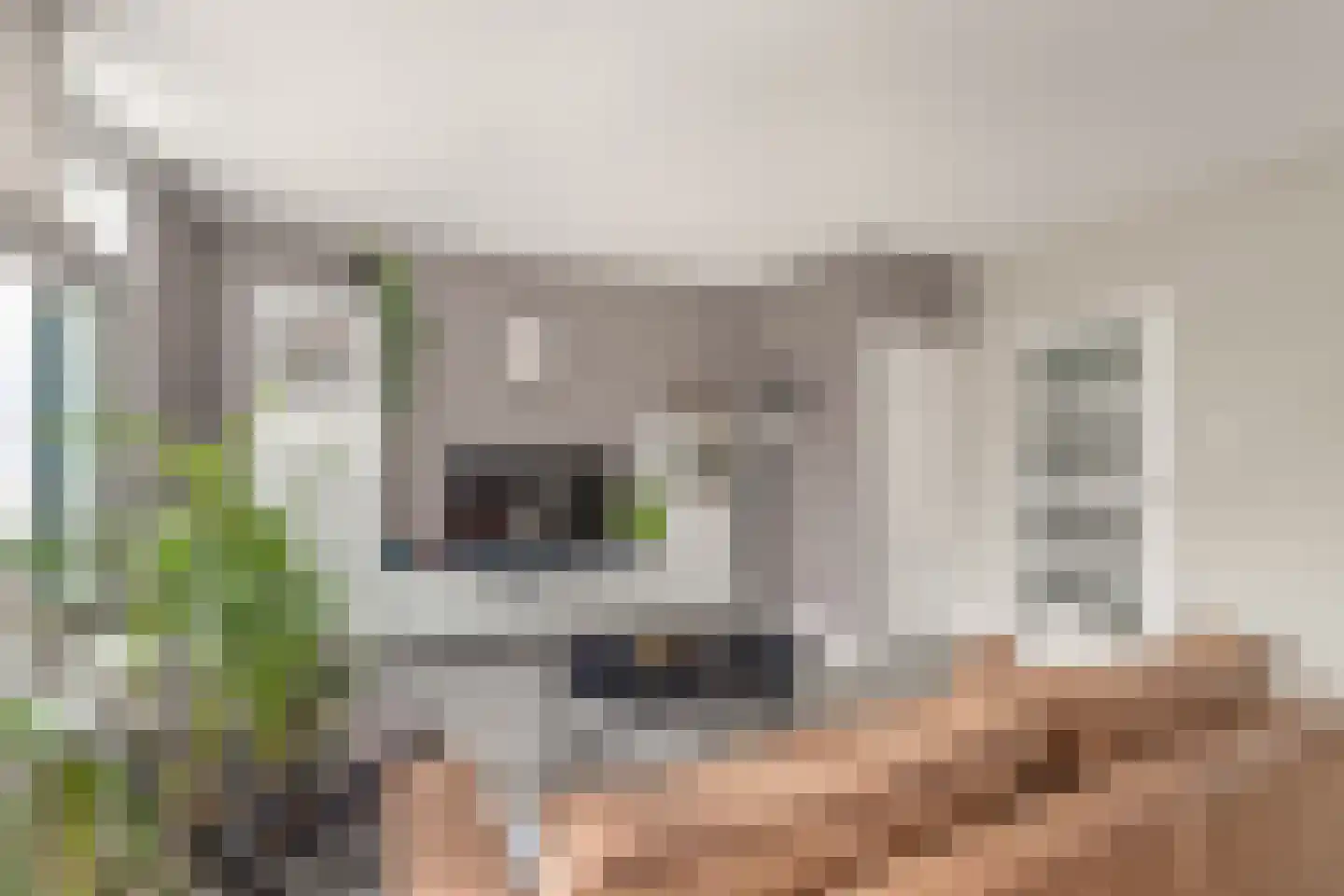 Graan voor Visch 15521 Hoofddorp thumbnail 22