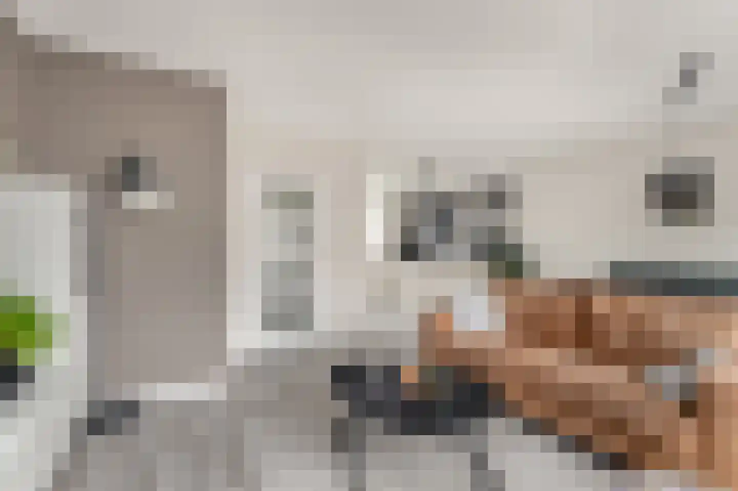 Graan voor Visch 15521 Hoofddorp thumbnail 24