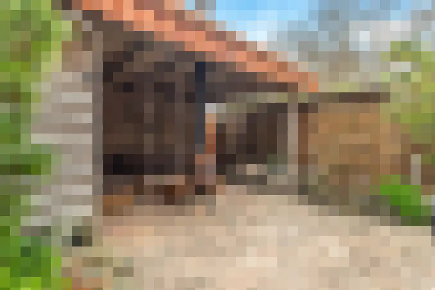 Graan voor Visch 15521 Hoofddorp thumbnail 27
