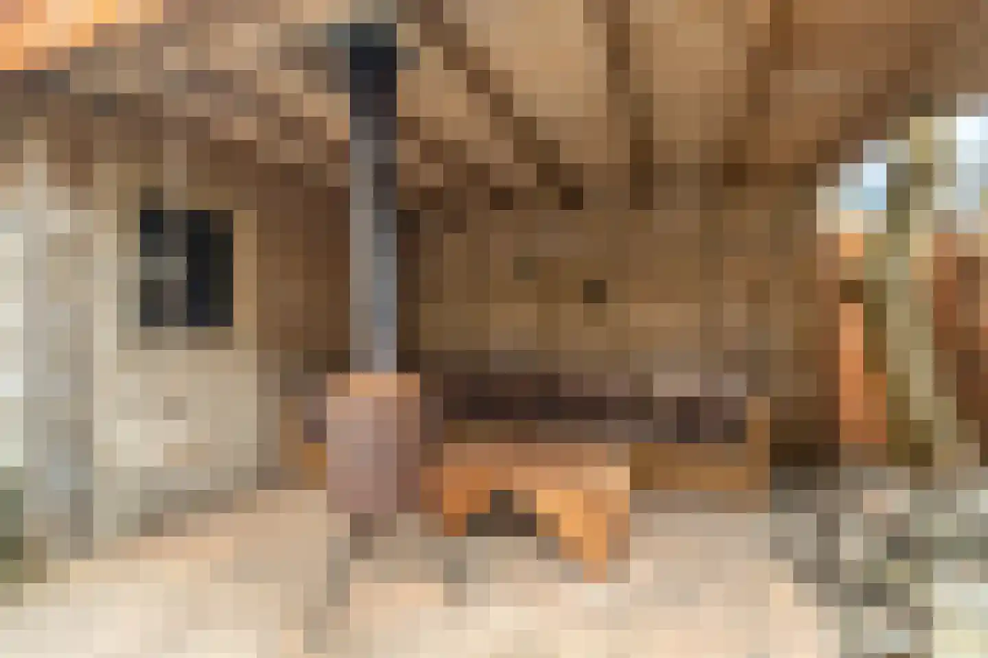 Graan voor Visch 15521 Hoofddorp thumbnail 28
