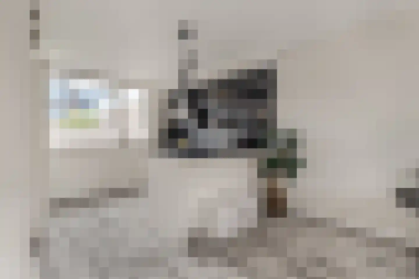 Graan voor Visch 15521 Hoofddorp foto 3