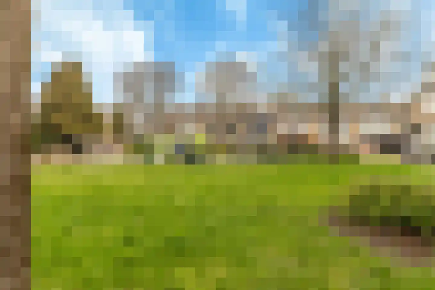 Graan voor Visch 15521 Hoofddorp thumbnail 51