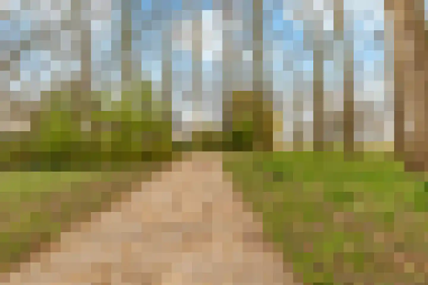 Graan voor Visch 15521 Hoofddorp thumbnail 52