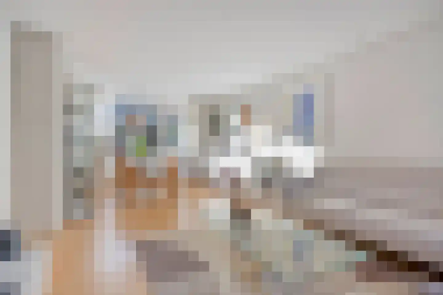 Graan voor Visch 15611 Hoofddorp thumbnail 12