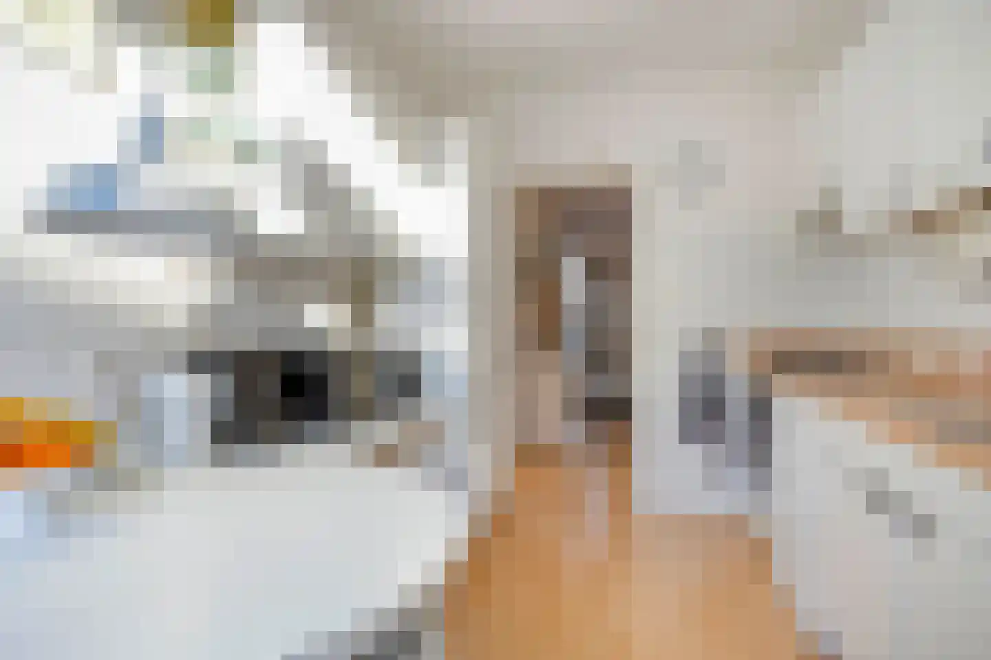 Graan voor Visch 15611 Hoofddorp thumbnail 19