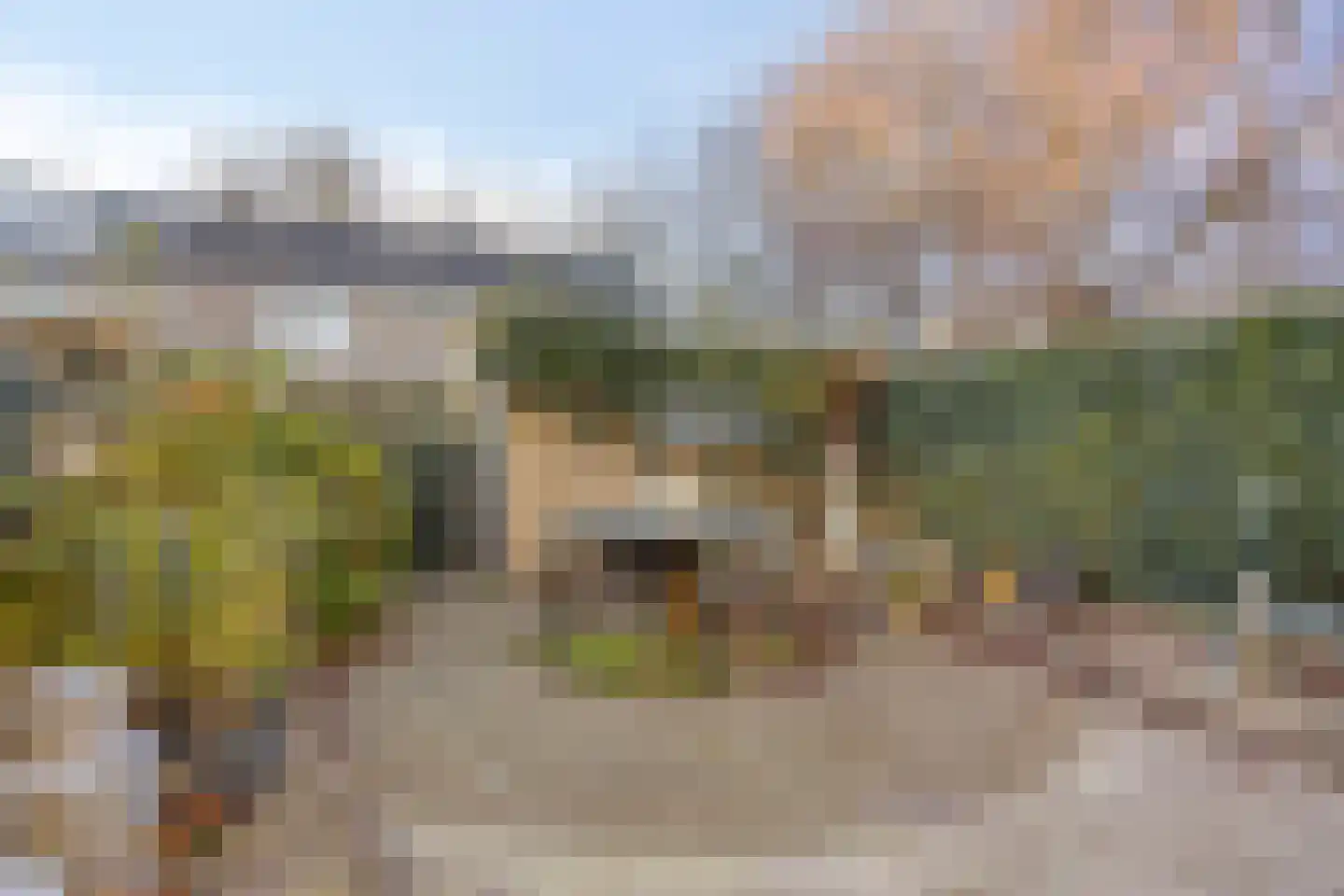 Graan voor Visch 15611 Hoofddorp thumbnail 4
