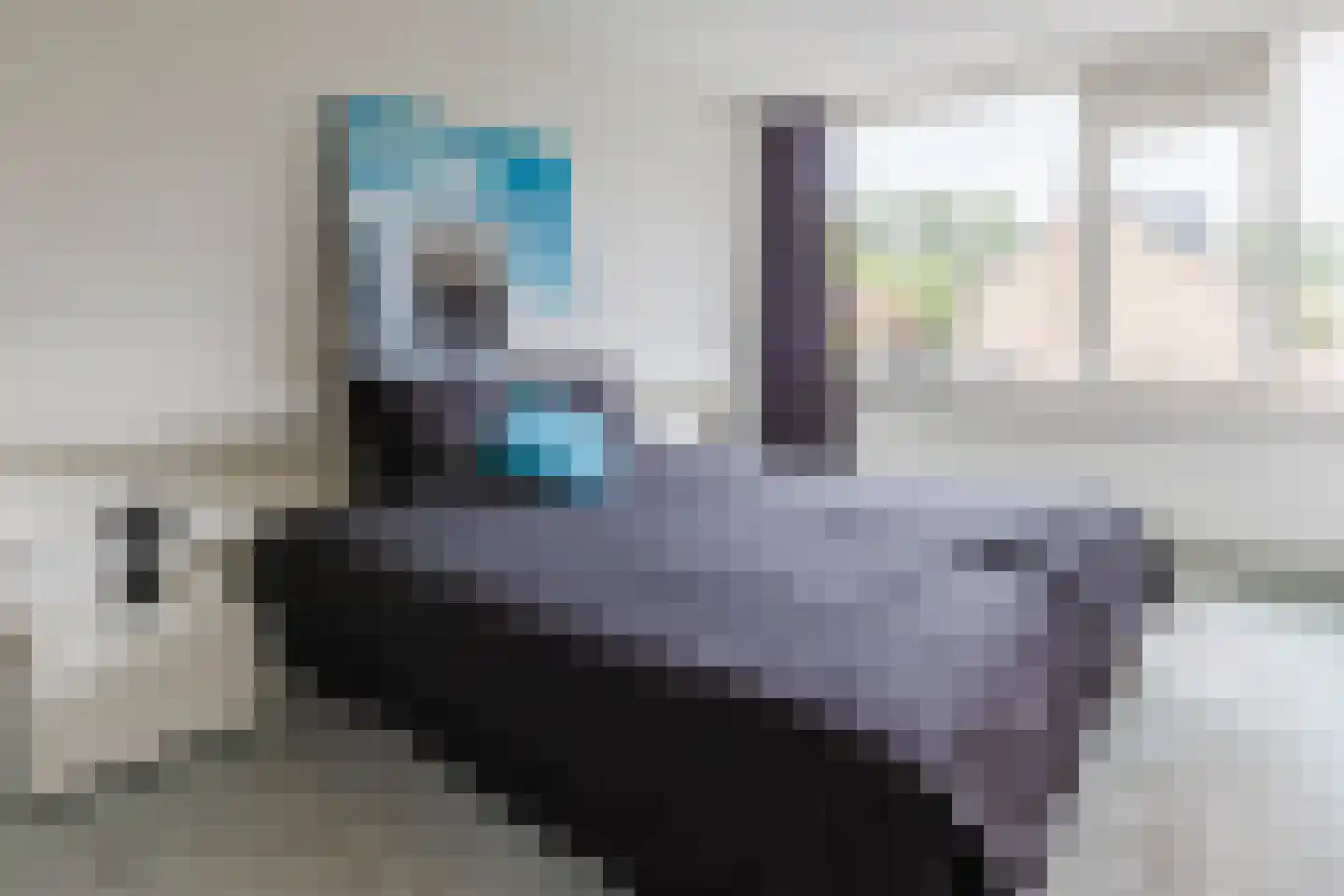 Graan voor Visch 15706 Hoofddorp thumbnail 16