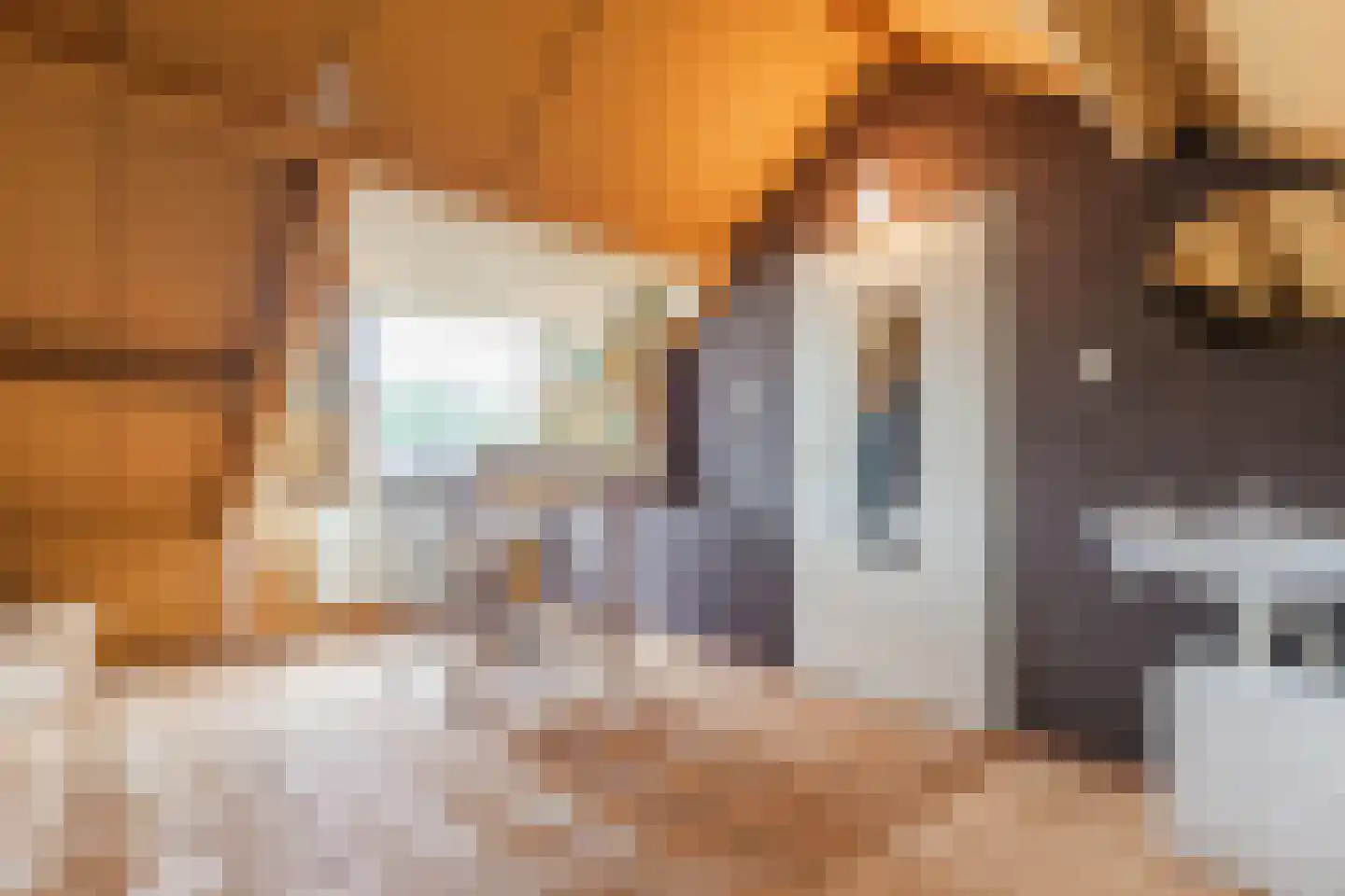 Graan voor Visch 15706 Hoofddorp thumbnail 28