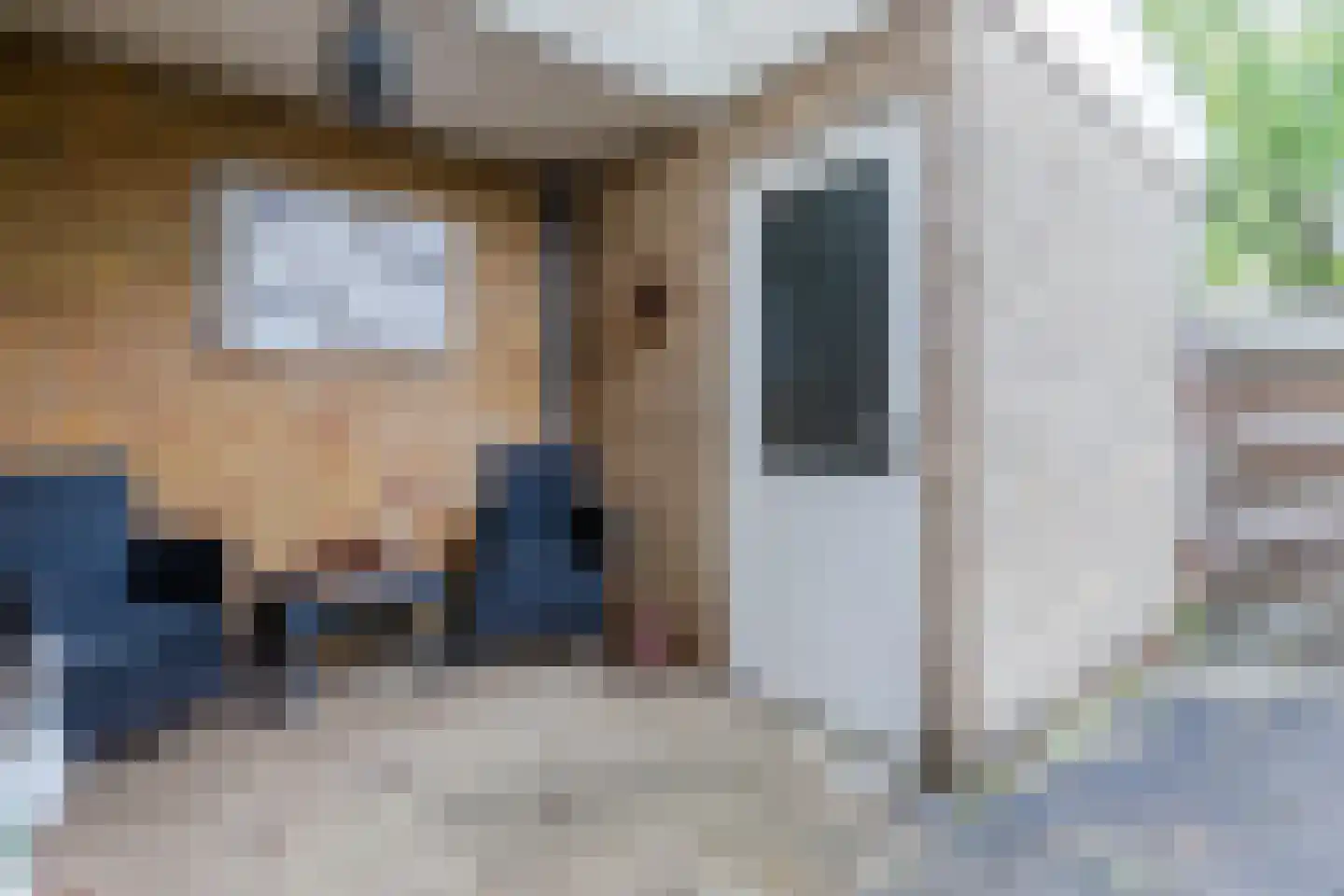 Graan voor Visch 15706 Hoofddorp thumbnail 30
