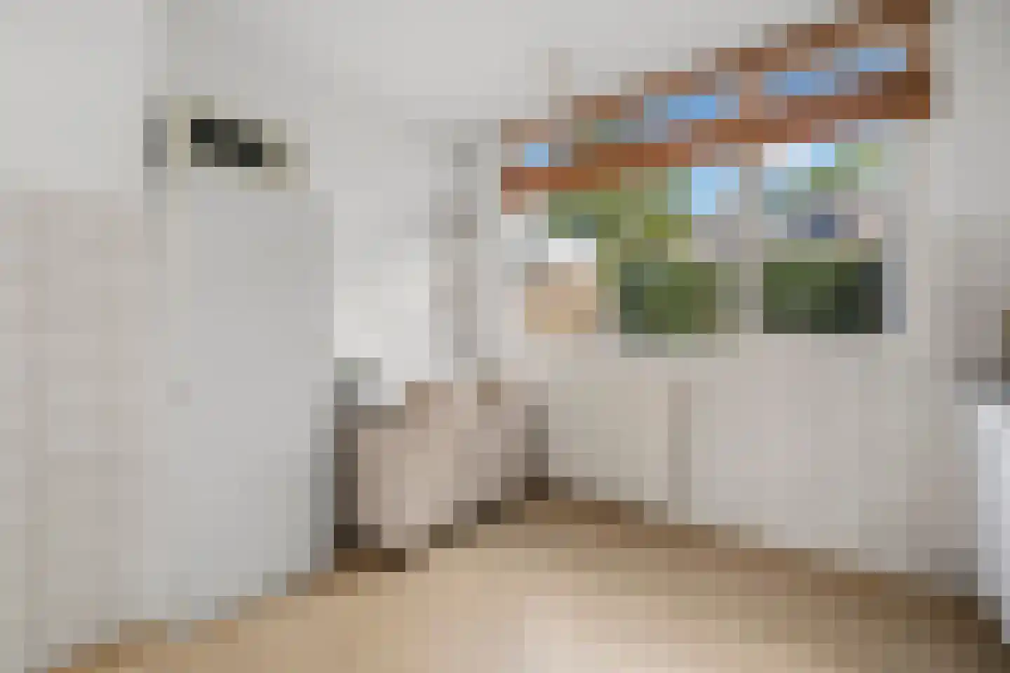 Graan voor Visch 15710 Hoofddorp thumbnail 13