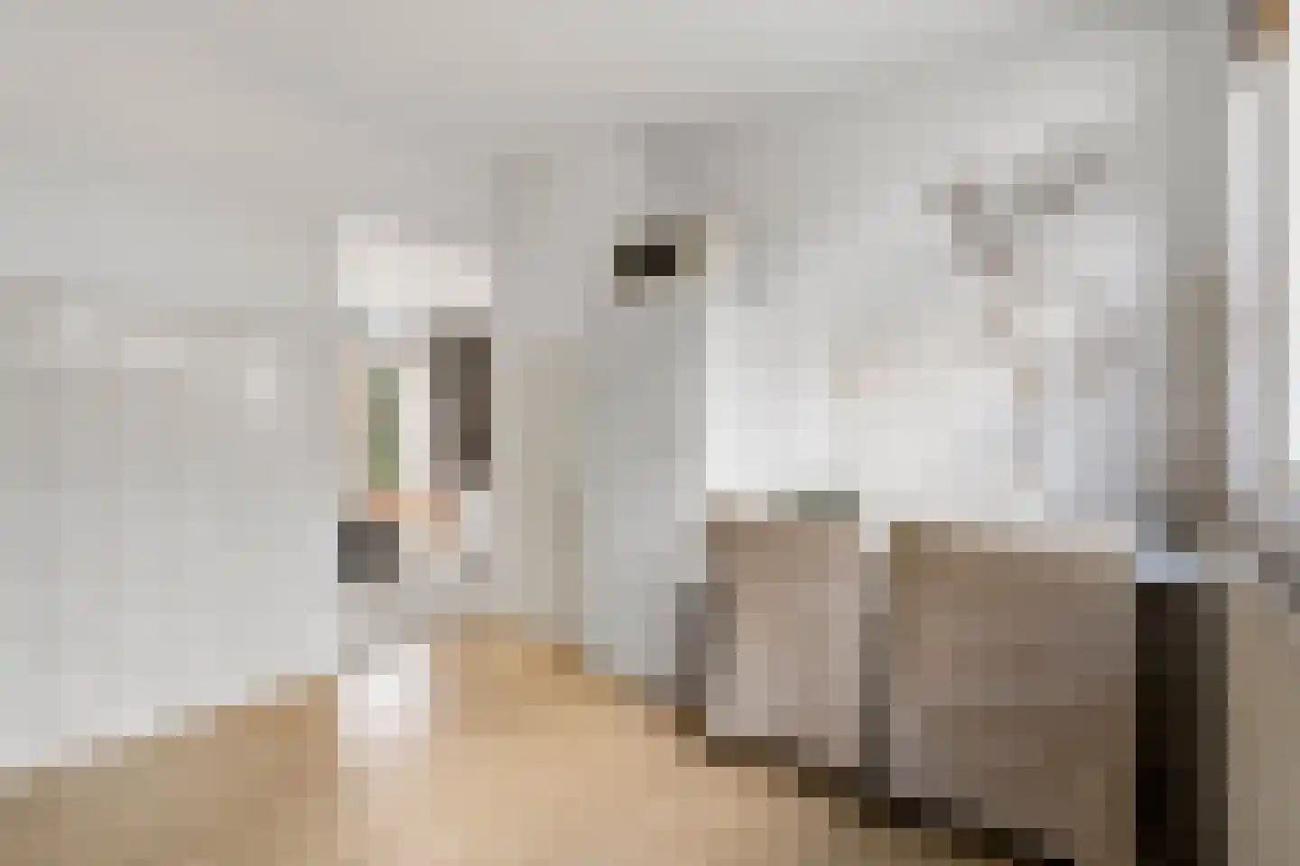 Graan voor Visch 15710 Hoofddorp thumbnail 15