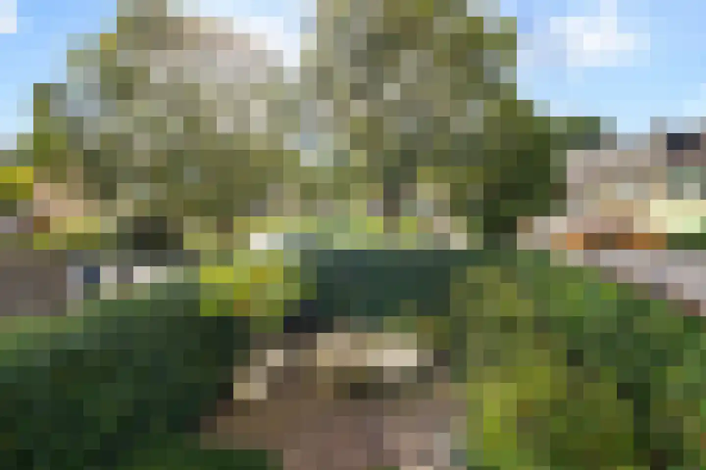 Graan voor Visch 15710 Hoofddorp thumbnail 20