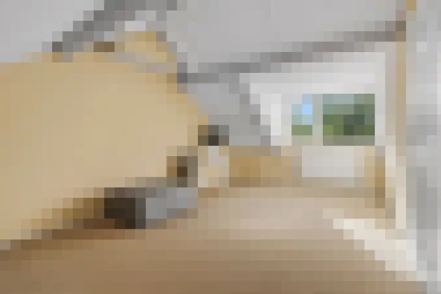 Graan voor Visch 15710 Hoofddorp thumbnail 29