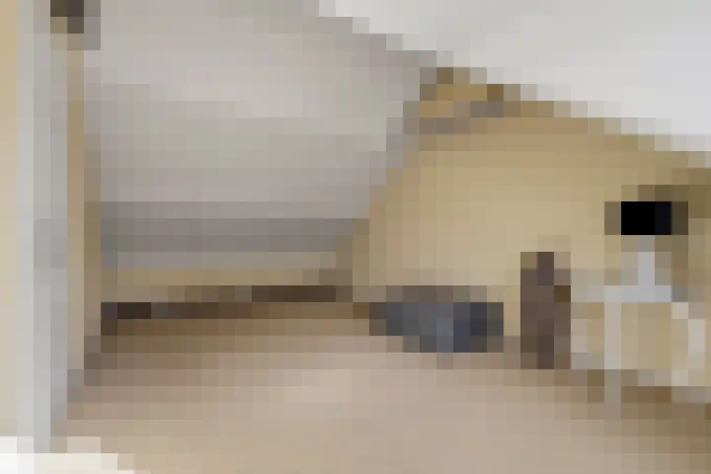 Graan voor Visch 15710 Hoofddorp thumbnail 31