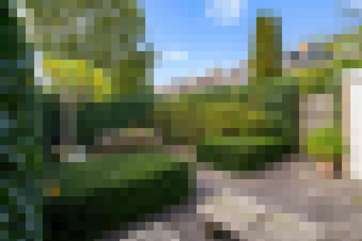 Graan voor Visch 15710 Hoofddorp thumbnail 32