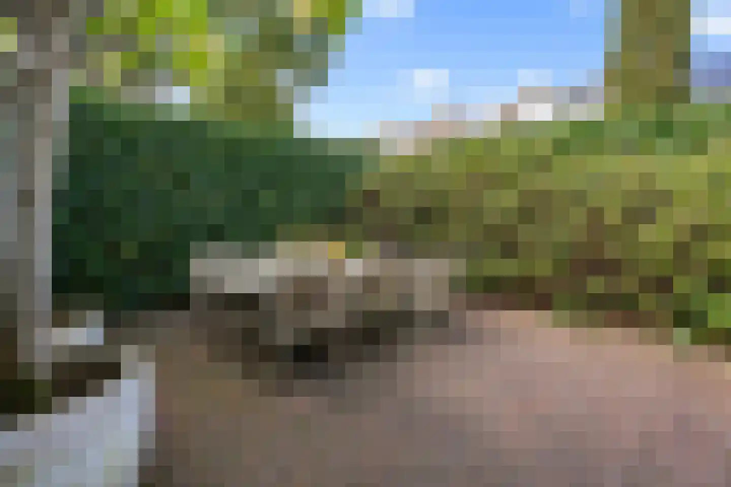 Graan voor Visch 15710 Hoofddorp thumbnail 35