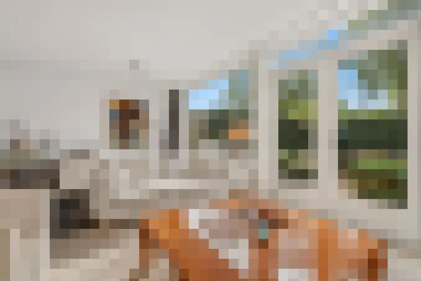 Graan voor Visch 15710 Hoofddorp thumbnail 7
