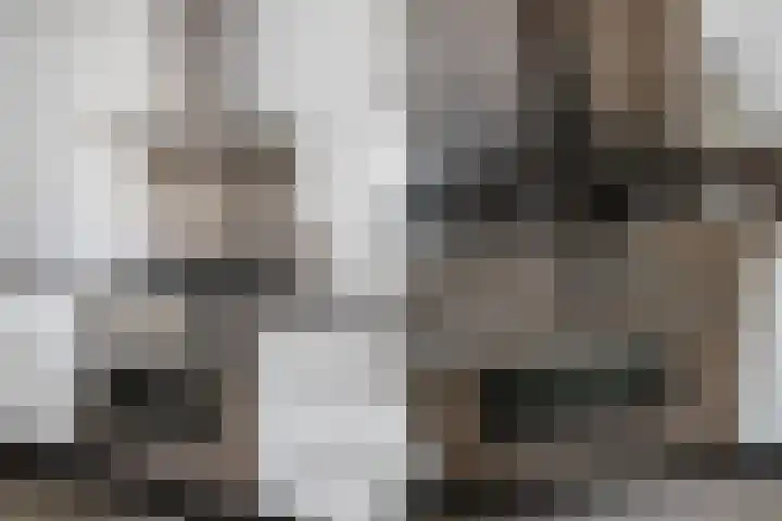 Graan voor Visch 15815 Hoofddorp thumbnail 11