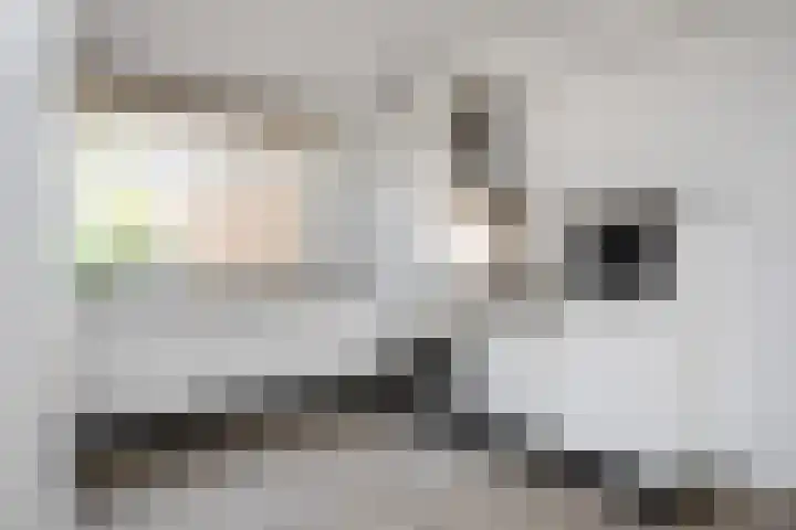 Graan voor Visch 15815 Hoofddorp thumbnail 12