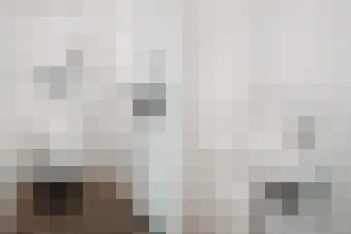 Graan voor Visch 15815 Hoofddorp thumbnail 14