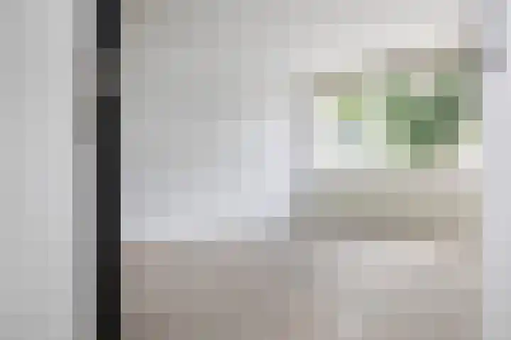 Graan voor Visch 15815 Hoofddorp thumbnail 16
