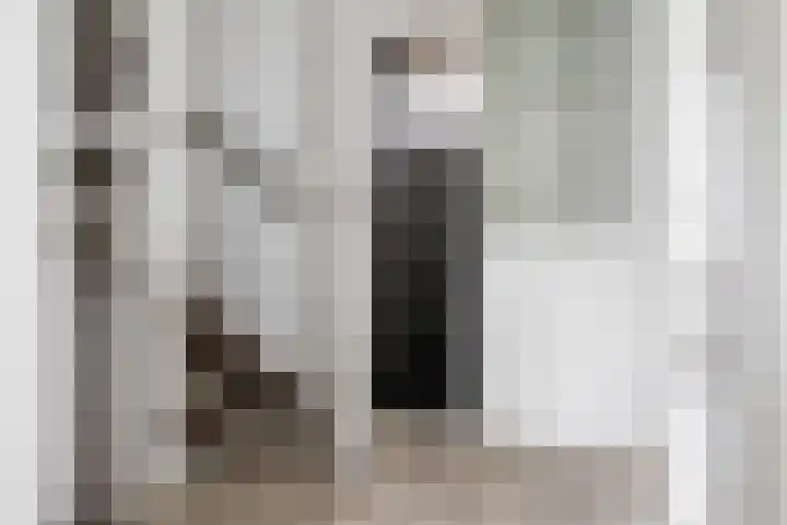 Graan voor Visch 15815 Hoofddorp thumbnail 22