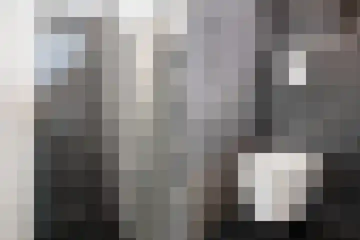 Graan voor Visch 15815 Hoofddorp thumbnail 24