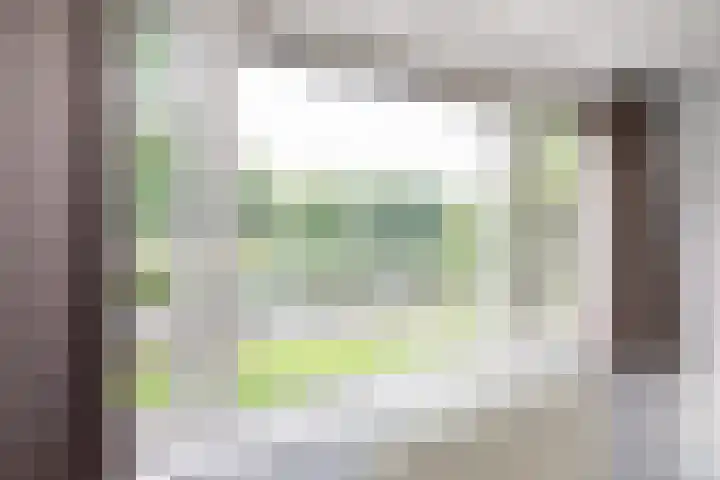 Graan voor Visch 15815 Hoofddorp thumbnail 27