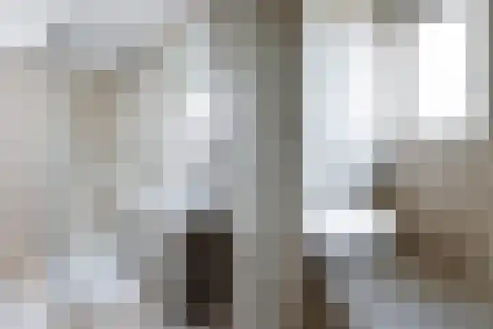 Graan voor Visch 15815 Hoofddorp thumbnail 29