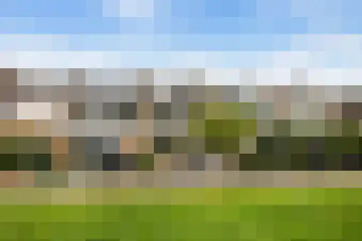 Graan voor Visch 15815 Hoofddorp thumbnail 30