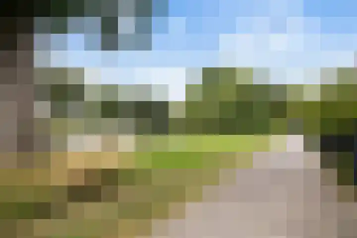 Graan voor Visch 15815 Hoofddorp thumbnail 31