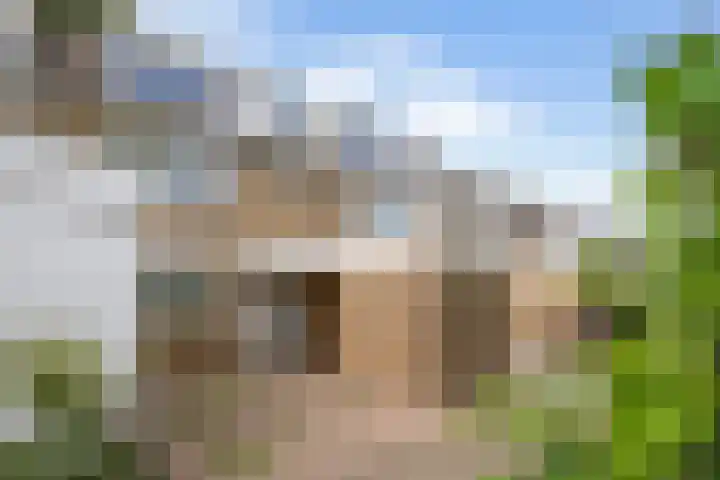 Graan voor Visch 15815 Hoofddorp thumbnail 7