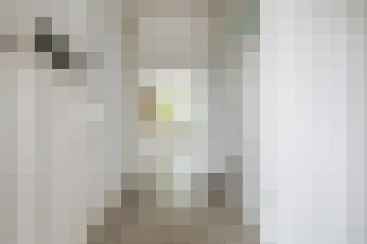Graan voor Visch 15815 Hoofddorp thumbnail 8