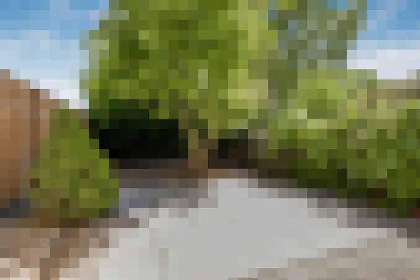 Graan voor Visch 15913 Hoofddorp thumbnail 13